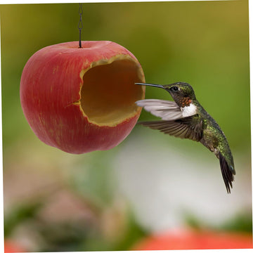 Apple Hanging Bird Feeders for Outdoors