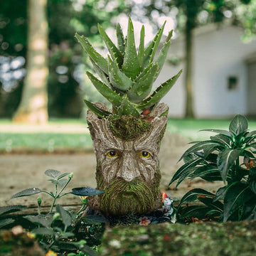 Creative Cartoon Planter Pots for Outdoor Indoor Plants