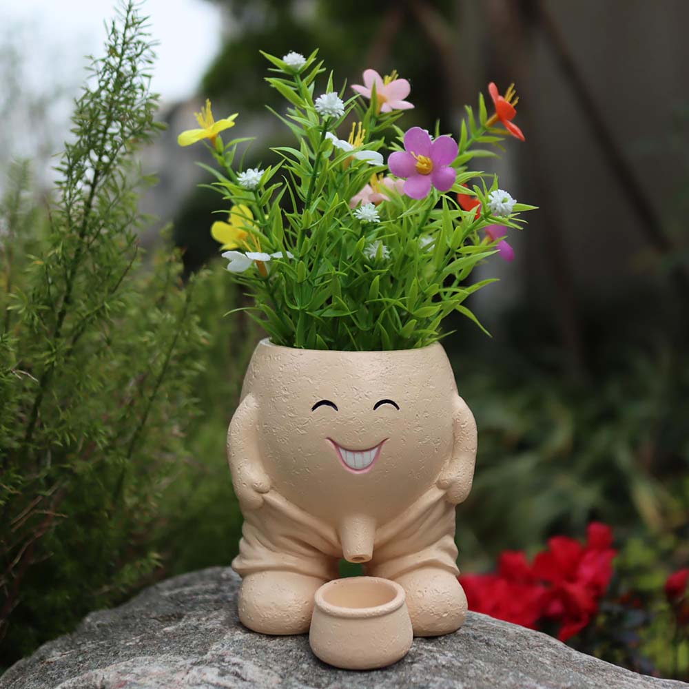 Novelty Face Head Planter  Pot for Indoor and Outdoor Décor