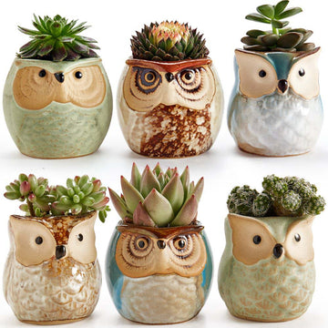 Owl Ceramic Flowing Glaze Base Serial Set Plant Pot 6PCS 2.5 Inch