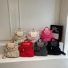 College Dragon Backpack Women Trendy Pleated Nylon Bag