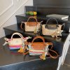 Light Luxury Rainbow Striped Woven Mini Shoulder Bag