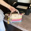 Light Luxury Rainbow Striped Woven Mini Shoulder Bag